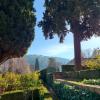 One of the wonderful gardens in the Alhambra Palace!