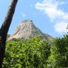 Along my hike - It reminds me of a tropical island! How is the nature here different from in Nebraska?