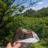 This vegan chocolate bagel fueled my body during the hike!