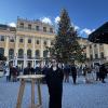 Standing in front of a large Christmas tree at a Christmas market