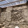 Images of ancient wall carvings in Monte Alban