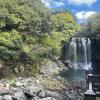 Beautiful waterfalls in Jeju Island—such a peaceful and refreshing view