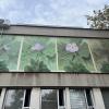 The "Ramonda serbica," commonly known as the "Serbian Phoenix Flower," is known for its resilience from drought and amazing ability to come back to life with a little water! The mural shows young people's strength in the face of difficulties