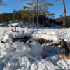 We built a fire pit in the snow to stay warm and cook our food.