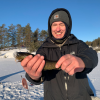 My friend Dennis caught the first brown trout of the week.