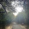 Here's my favorite pocket of nature in Delhi. It's called Jahanpanah City Forest.