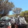 On school trips up Kilimanjaro, each student was responsible for their own pack