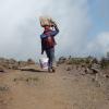 Porters often carry between 40 and 50 pounds of equipment--they are amazing!