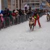 What sports do you like to play? Would you try reindeer racing?