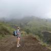 We used walking sticks the entire way up the mountain--very helpful!