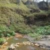 On our way down the mountain, there were many hot springs. Swimming in these hot springs was like swimming in a hot tub!