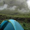 Our second campsite was in the jungle