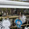 Wishes left on a bridge, with one reading "사랑해" (sa-rang-hae), or "I love you"