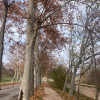 A trail in a hugely popular park, Casa de Campo, in which there are paths for running and walking. There are also Spanish Civil War bunkers, which are sometimes open to the public!