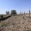 Our school garden plot before we started any work