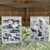 The animals of Malawi! 