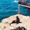 We met this little guy enjoying the sun on the stone steps.