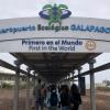 Arriving on Baltra Island, you walk from the tarmac into the small airport.