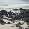 The beach is scattered with volcanic rock.