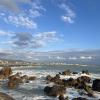 I had a great time at Castiglioncello! I would love to go back during the summer when it is warmer outside.