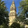 My program provider, CIEE, organized a variety of excursions during the semester, each offering unique cultural experiences. One of the most memorable trips was to Cordoba, a city in southern Andalusia known for its  fusion of Muslim and Christian influen