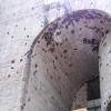 So many moths! 