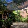View of my back patio while I read