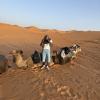 Standing next to the camels we had been given to ride