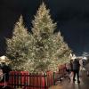 Yokohama Christmas Market’s Christmas tree!