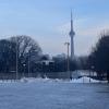 The CN Tower peaking above the frozen Trinity Bellwoods Park