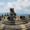 Borobudur Temple has a total of 504 Buddha statues!