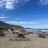 A sunny day at the beach, there were lots of people tanning in beach chairs and on their blankets
