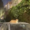 A cat in Amman finds a cozy place to rest for the night 