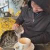 A cat jumped right into Jarrett's lap while we were having tea at a cafe.