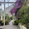 Dublin's Botanical Gardens: a lovely place to stroll around - I have been several times including once on a Samhain folklore (Halloween) themed tour 