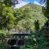 Can you spot me near the dam at the top of Wulai falls?