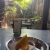 A quick coxinha snack break, a traditional fried Brazilian food filled with chicken