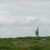 This is a horse that was grazing at the top of the fairy hill I climbed called Sheemore, which comes from the Irish "Sí Mór," which means "big fairy (hill)!" Maybe this was a fairy horse