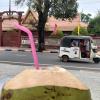 Sipping a coconut, watching the tuktuks and motos zoom by