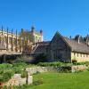 My friend and I walked through gardens by Christ Church Cathedral, enjoying the sun and blooming flowers