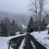 While in Switzerland, I went hiking up snowy trails where I really didn't see anyone during my hikes since the conditions were not the most ideal.