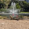 A lizard basks in the midday sun in front of a foutain in the City Botanic Garden.