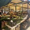 There are markets everywhere, mostly selling fresh produce!