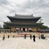 Day trip to Changdeokgung Palace 