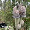 Tall bell-shaped mushrooms in the archipelago
