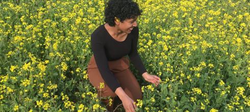 Jeju is famous for its yellow canola flowers