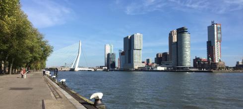 Part of the Rotterdam skyline 