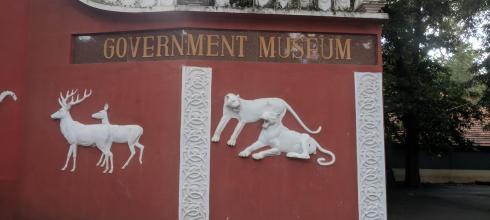 Going into the Chennai Government Museum