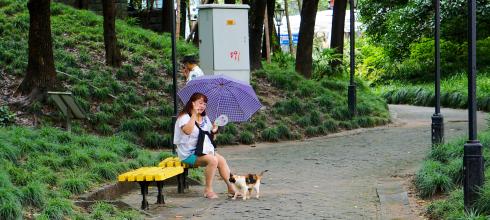 Nice Lady in Fuxing Park with a Cat.