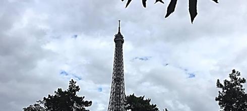 The Eiffel Tower was built in the late 1800's and is a famous landmark in Paris.
